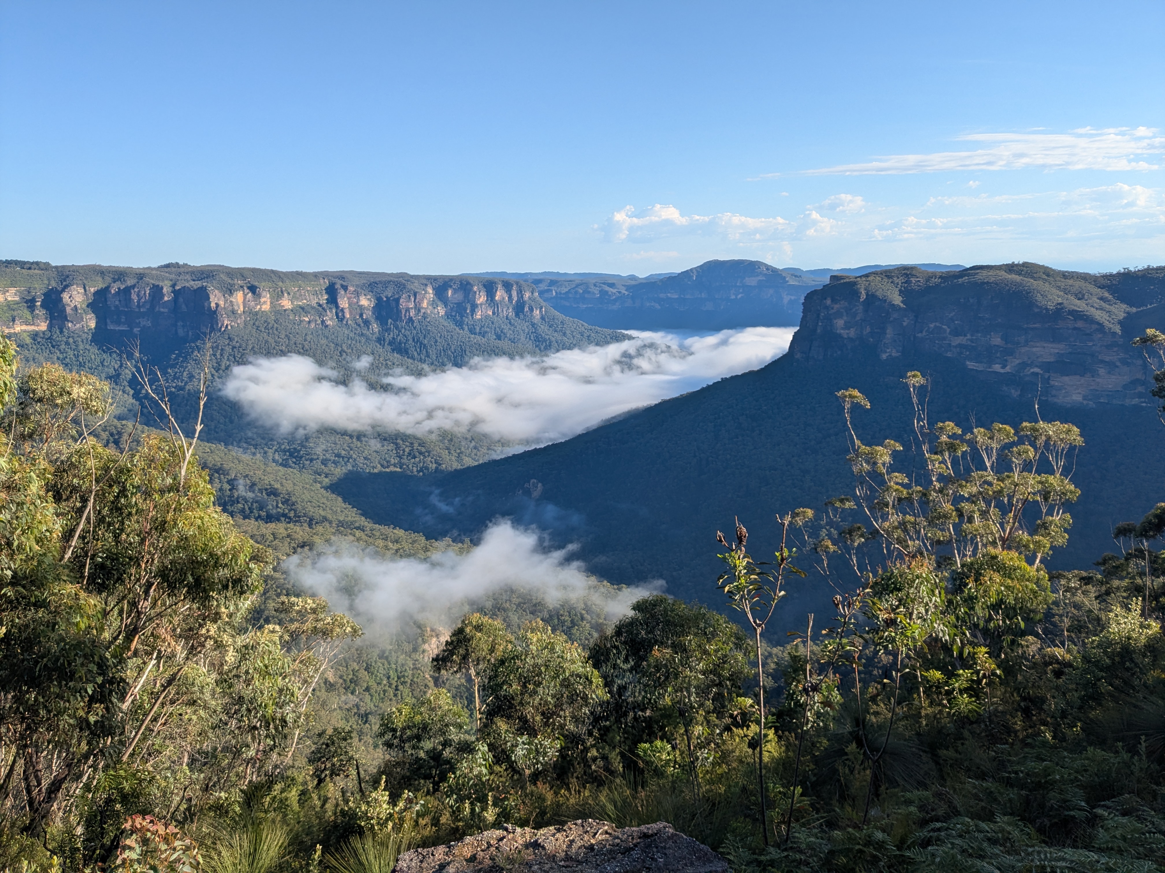 Evans Lookout to Perrys Lookdown via Grose (Trail Run)