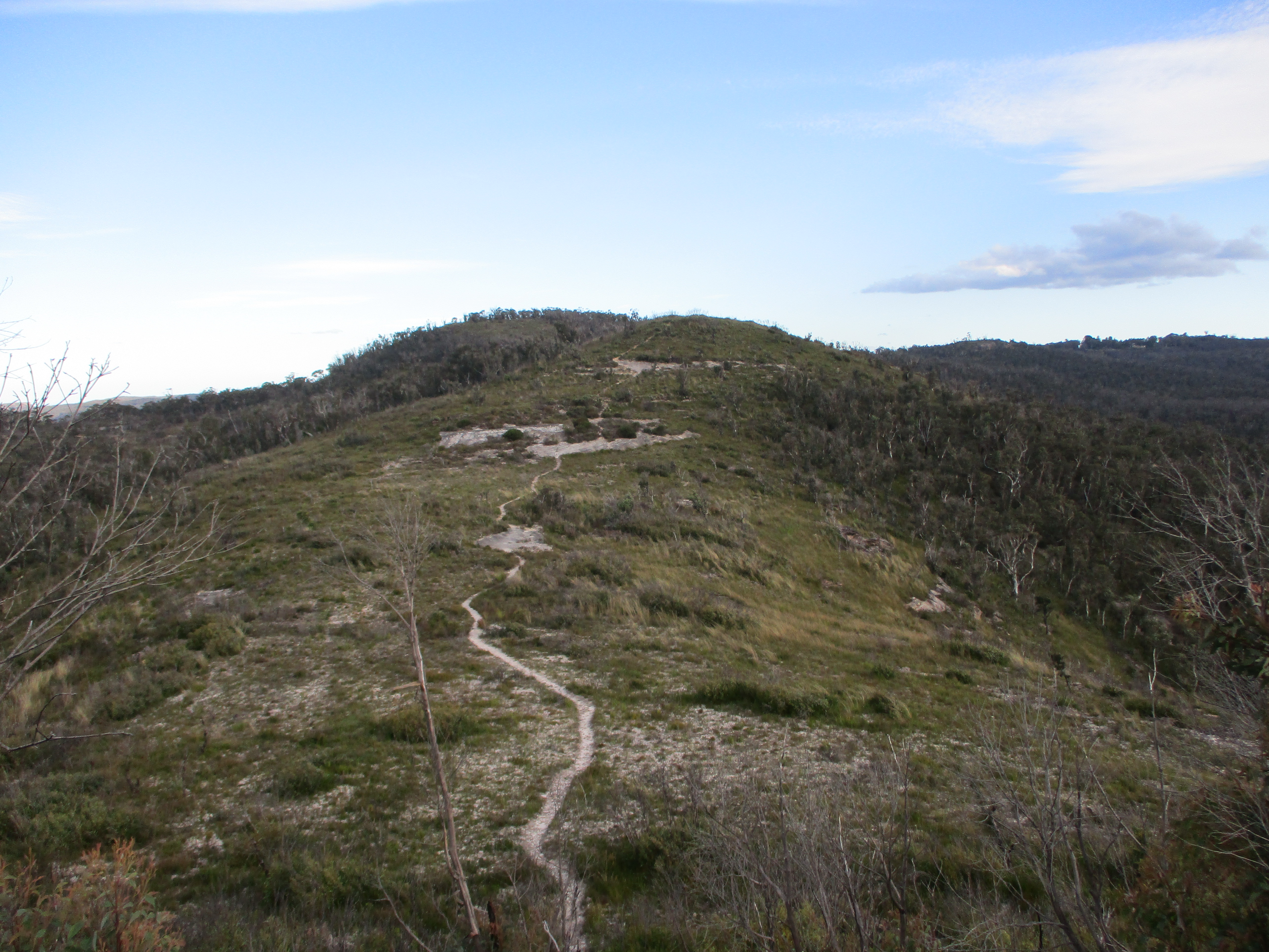 Hat Hill Ridge to Bald Head