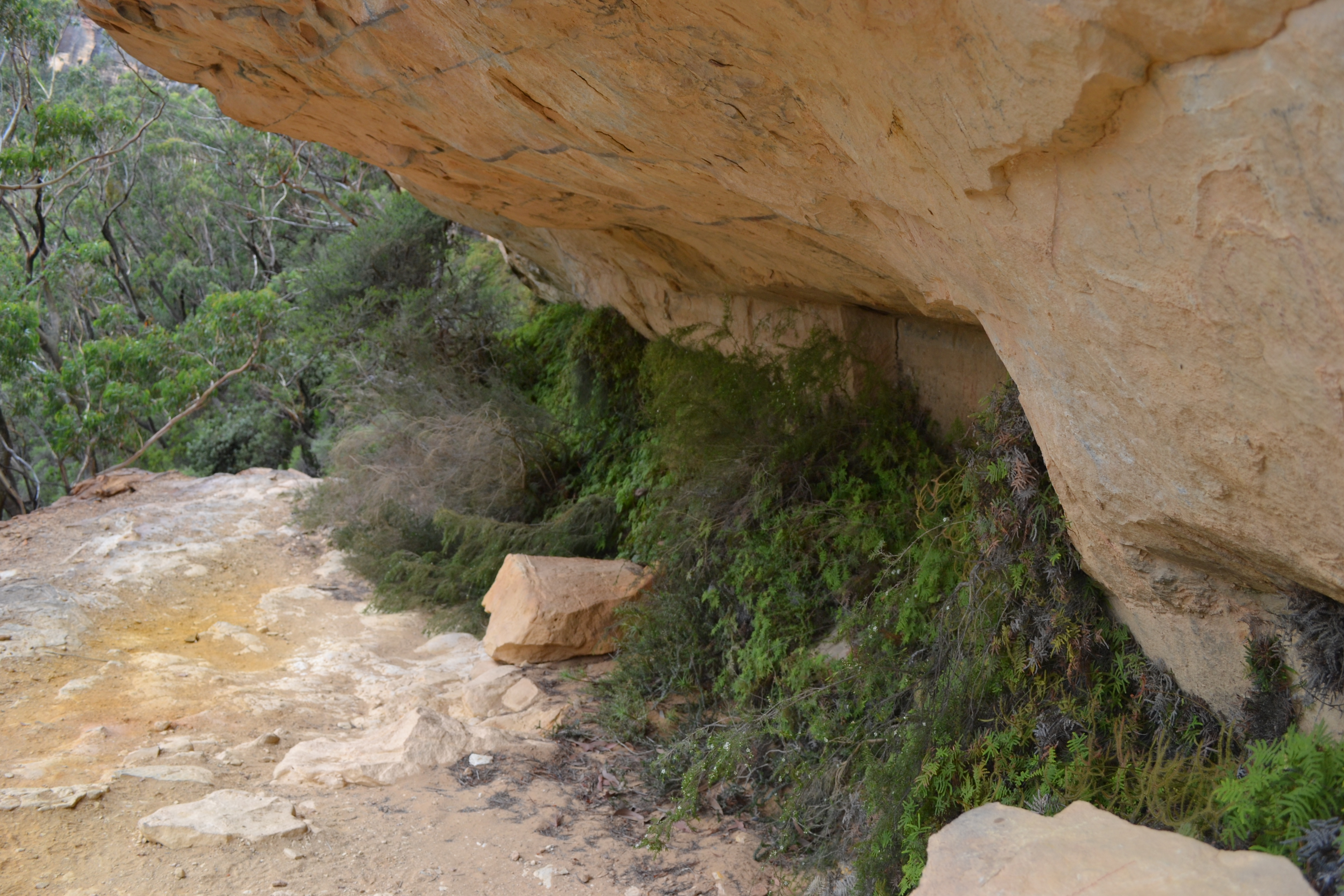 Rough Trail